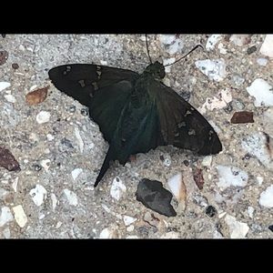 Meet your Posher, Nathalie